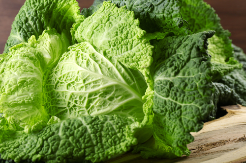 Proteinové a keto recepty pro HUBNOUCÍ FÁZI