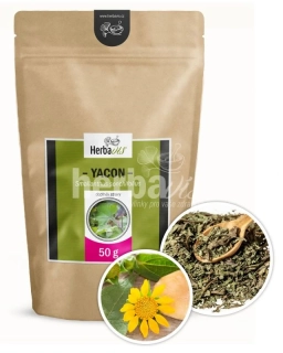 Herbavis YACON nálev, 50 g