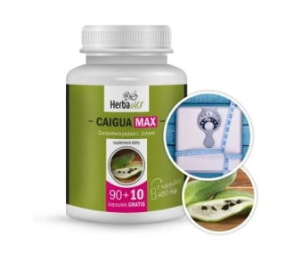 Herbavis CAIGUA MAX (AČOKČA), 100 kapslí